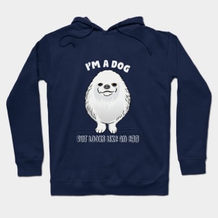 funny pomeranian memes Hoodie